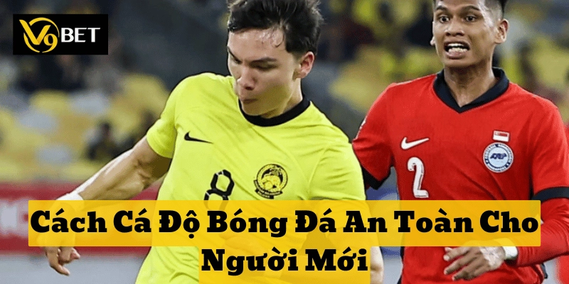 Giảm rủi ro theo Cách Cá Độ Bóng Đá An Toàn Cho Người Mới